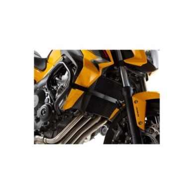 SW-MOTECH Rollbar