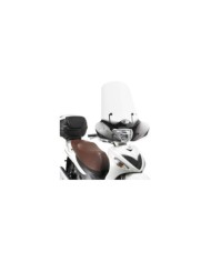 GIVI Parabrezza 169A