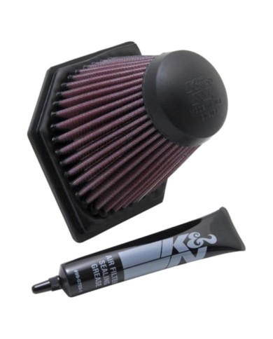 K&N Filtre à air BM-1205