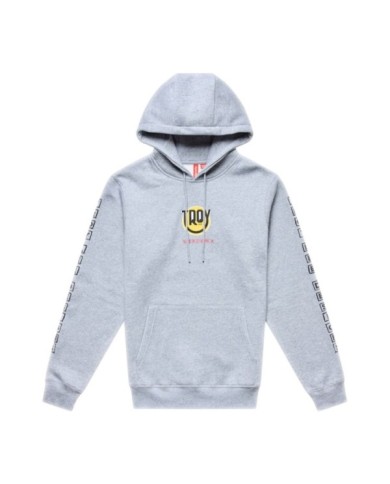 Troy Lee Designs Pullover Hoodie - Happy Dayz gray