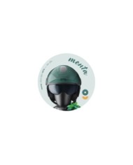 gms Adesivo per negozio Scoop - gms Collezione Gelato menta