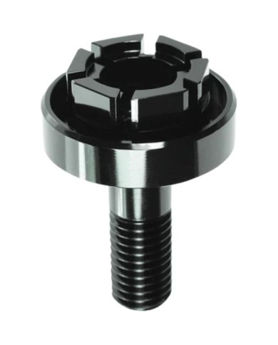 Motogadget Lenkerendendgewicht BMW (M8)