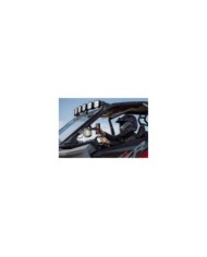 Quad Lock Roll Cage Mount