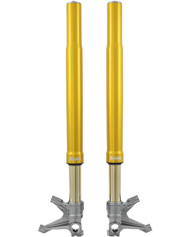 Öhlins Gabel FGR Racing