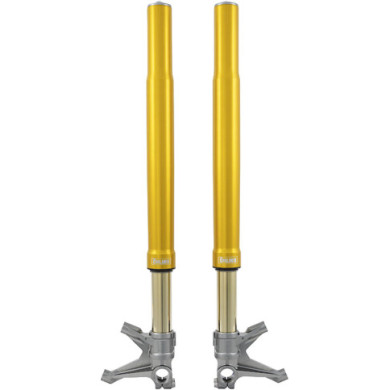 Öhlins Gabel FGR Racing