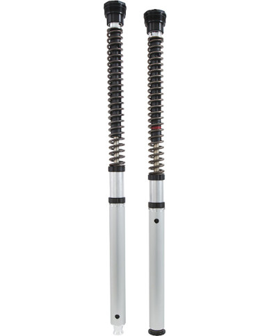 Öhlins Cartridge Kit NIX 30