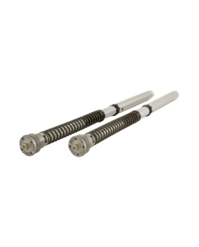Öhlins Cartridge Kit NIX 30