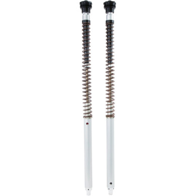 Öhlins Stossdämpfer
