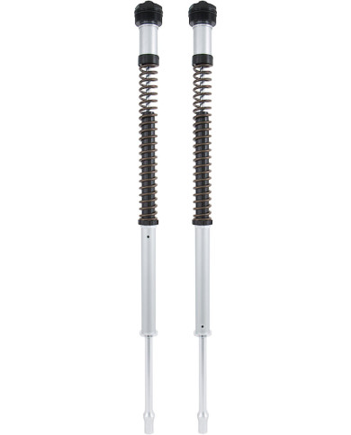 Öhlins Cartridge Kit NIX 22