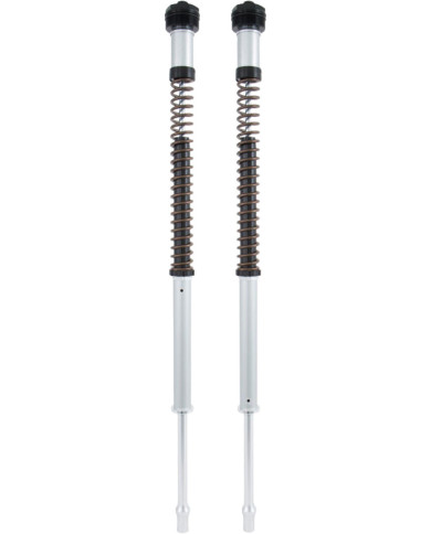 Öhlins Cartridge Kit NIX 22