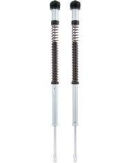 Öhlins Cartridge Kit NIX 22