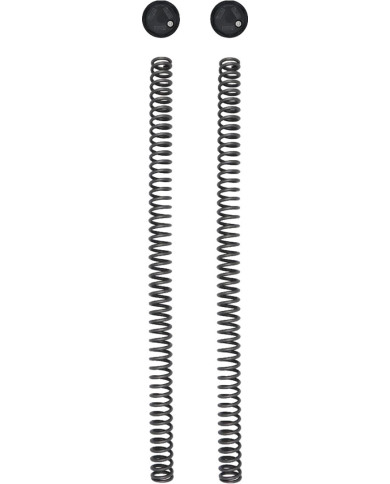 Öhlins Gabelfederkit mit Endkappen