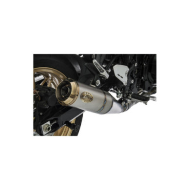 ZARD Titan E4 homologiertes Komplettset und Snake Welds