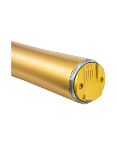 Öhlins Gabel RXF48S