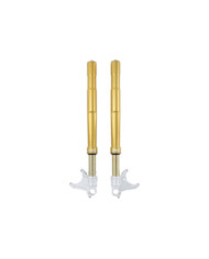 Öhlins Gabel FG Road & Track