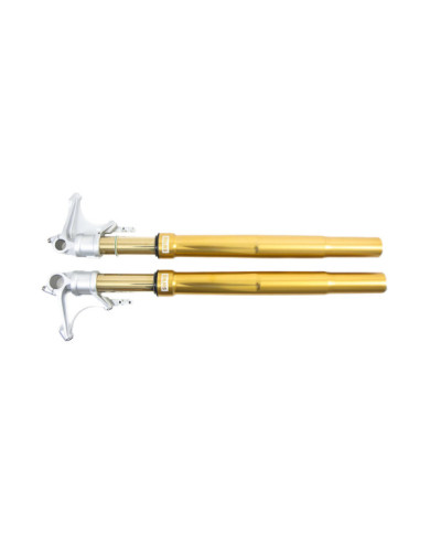 Öhlins Fourche FG Road & Track