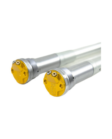 Öhlins Cartridge-Kit STX22
