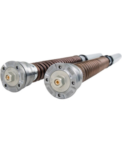 Öhlins Amortisseur