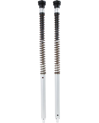 Öhlins Cartridge Kit FKA Adventure
