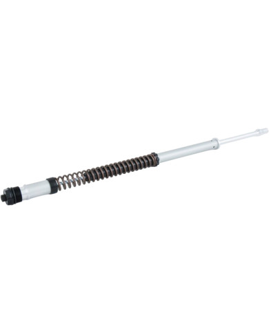 Öhlins Cartridge Kit NIX 22