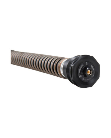 Öhlins Amortisseur