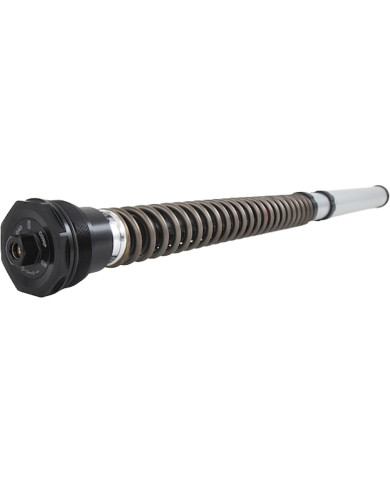 Öhlins Kit cartouche NIX 30