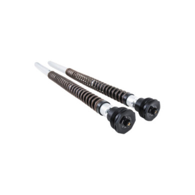 Öhlins Cartridge Kit NIX 30