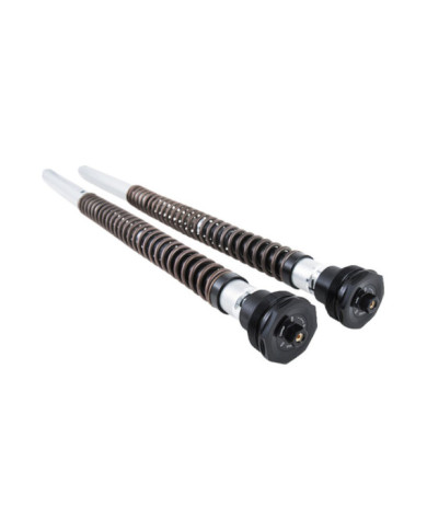 Öhlins Kit cartouche NIX 30