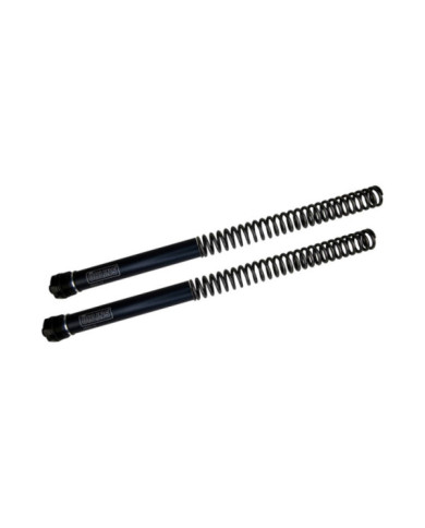 Öhlins Gabelfederkit mit Endkappen